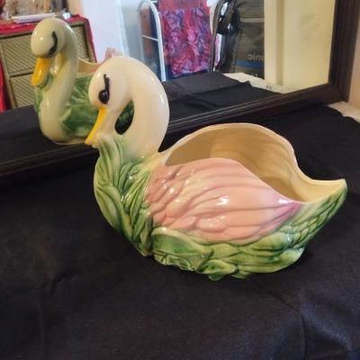 Large Swan