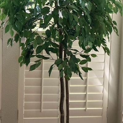 Nice artificial ficus