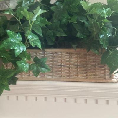 clean greenery