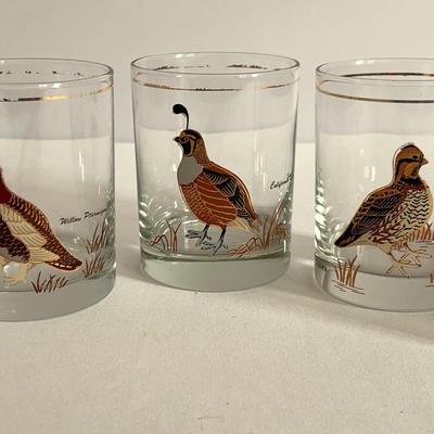 5 Vintage Colver Glasses w/bird Designs
