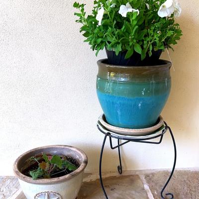 White Petunia In Ceramic Pot W/Stand & Geraniums/Storksbills In Stoneware Pot