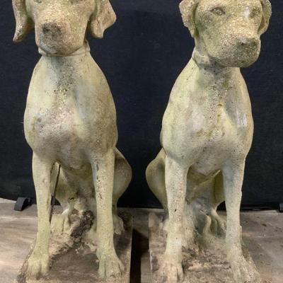 45: Pair Vintage Cement Dog Statuaries 28 in
