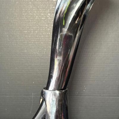 AleHorn Polished Curved Viking Drinking Horn w/ Stand
