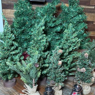 Woodland Trees Decor