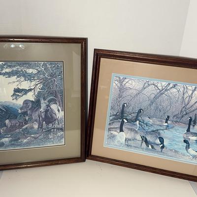 The Bighorn & The Geese Framed Prints