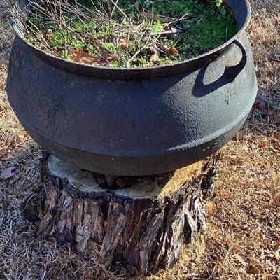 Black iron planter pot