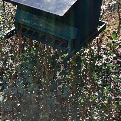 Bird house
