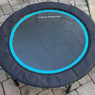 Leaps And ReBounds Mini Trampoline 48” Dia.