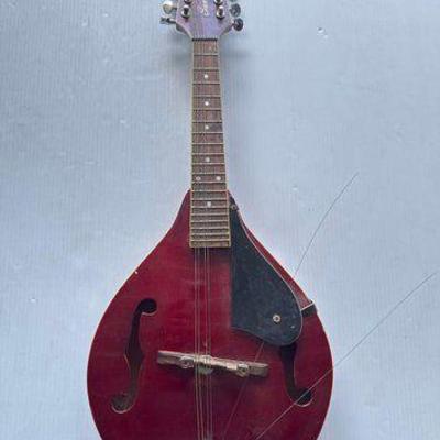 #13500 • Santini Mandolin
