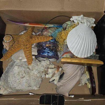 #14352 • Seashells & Decor
