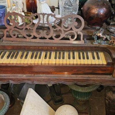 Organ