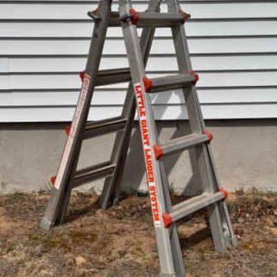 Little Giant Ladder System - Type 1A
