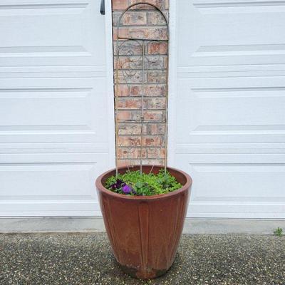 Outdoor Pot