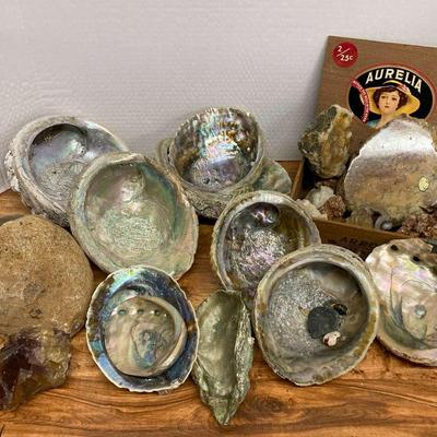 Abalone Shells, Unbroken Geode, Desert Rose, Amethyst, Quartz