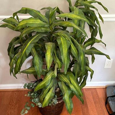 Indoor Plant Decor 