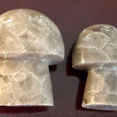 (2) Michigan Petoskey Stone Miniature Mushrooms