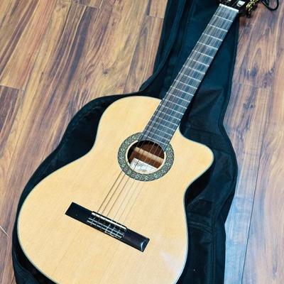 Copley guitar