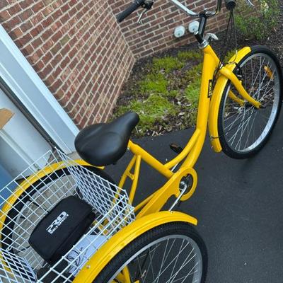 Pro Stormer adult tricycle