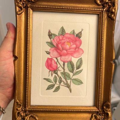 Solid wood gilt frame. 