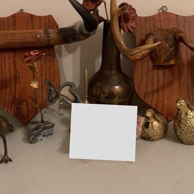 Brass Decor And Horns