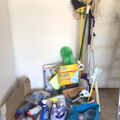 Household Cleaning Supply Lot#2