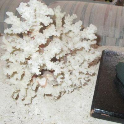 Hall coral piece