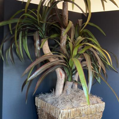 Fake Indoor Plant