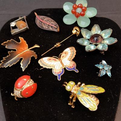 10 Nature Brooches 