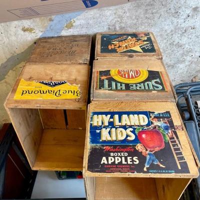 Old Apple crates 