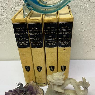Illustrated Medical &  Health Encyclopedias 1970 & More!