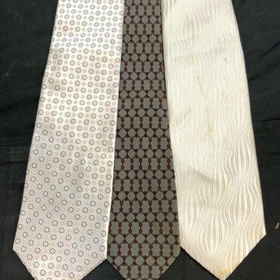 Lot 3 Mens Silk Neckties NICOLE MILLER & More
