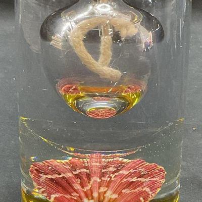 Art Glass Shell & Rope Nautical Display
