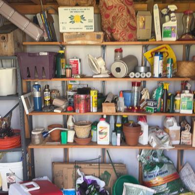 Home And Yard Mystery Lot Plus Grass Seed