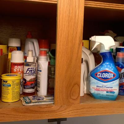 Assorted Cleaning Chemicals, Lot B