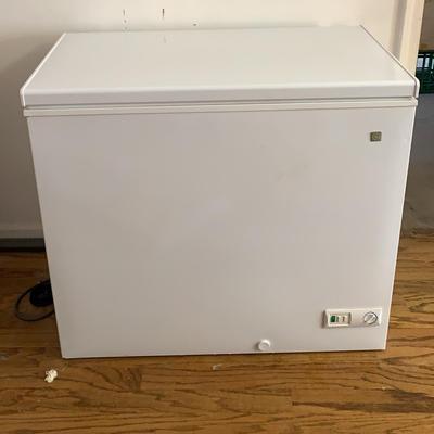 Ge Stand Alone Freezer