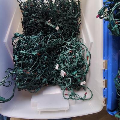 Christmas Lights 