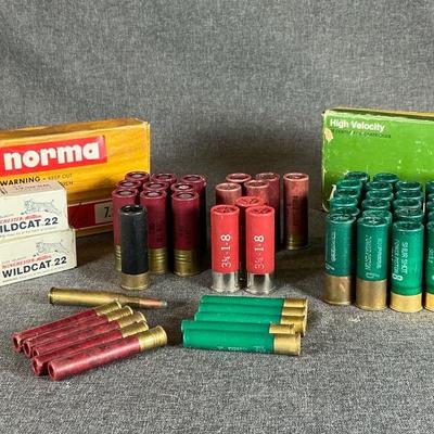 Assorted Remington And Other Brand Shells