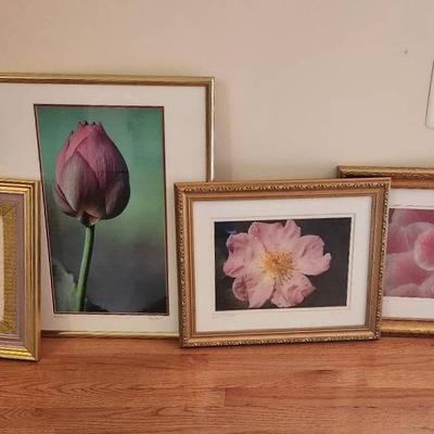 Framed Flower Photographs
