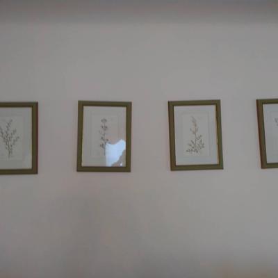 Four Framed Lyndi Lende Floral Prints 