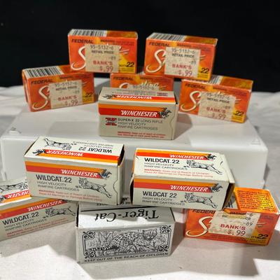Winchester Wildcat 22 LR Rounds