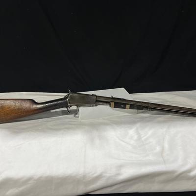 Winchester Model 1906 .22 