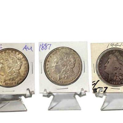 Tn167 three morgan silver dollars