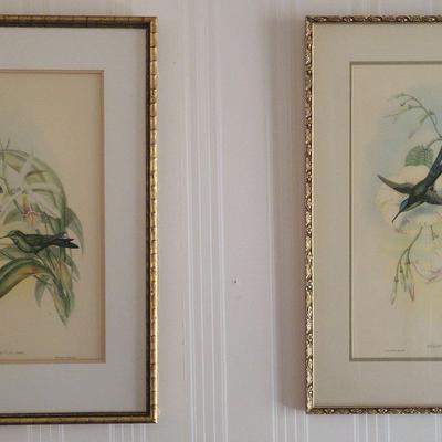 Framed Prints By J. Gould 