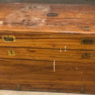 Fantastic Trunk