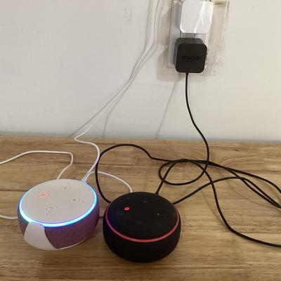 Pair Of Echo Dot Speakers
