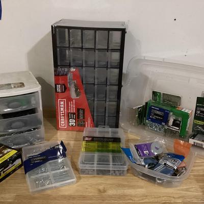 Nails And Screws With Organizers