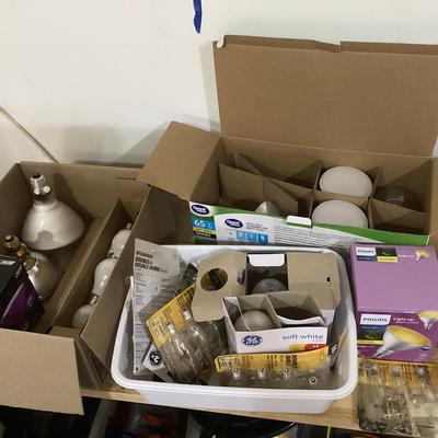 Mystery Lot Of Light Bulbs