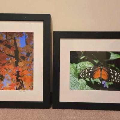 Fall Foliage and Butterfly Prints (2) by Anna Miller in Black Frames 