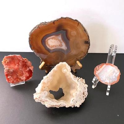 Natural Striped Agate Slices With Agatized Coral 