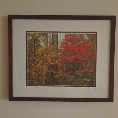 Autumn's Peak Print Marked 2/200 By Theresa George